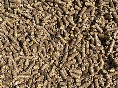 product-400-300